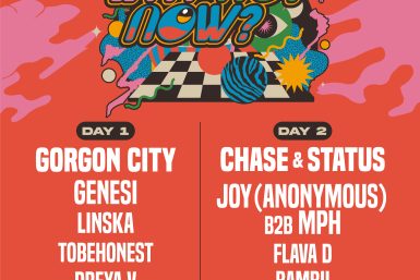 Why Not Now Electronic Festival Hits Brooklyn Memorial Weekend
